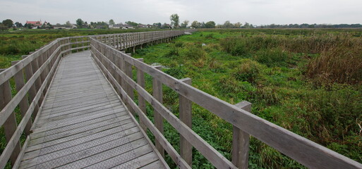 Footbridge among the swamps (Śliwno and Waniewo, Podlaskie, Poland)