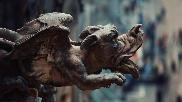Marble stone sculptures of gargoyle on roof of Duomo di Milano filmed in close up.Beautiful medieval art of sculpture in main Italian landmark.Footage of exterior details of Duomo