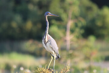 Naklejka premium Photography