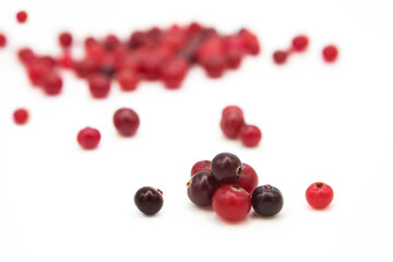 Ripe organic cranberry isolated on white background. Сopy space on a white background.