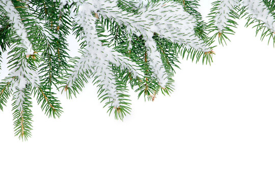 Winter Christmas border With snowy fir tree