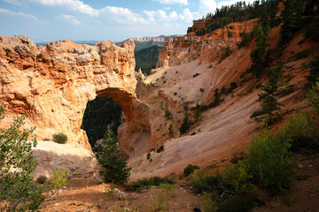 Morning sunrise at Bryce Canyon National Park Utah hoodoos and canyons with beautiful pine trees scattered in the valley.