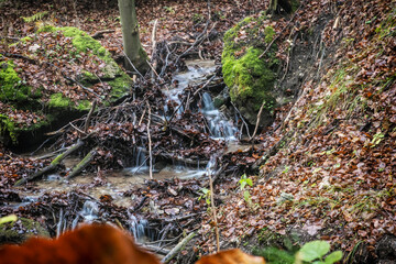 Naklejka na ściany i meble Water stream in forest, Little Fatra, Slovakia, hiking theme