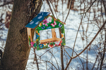 birdhouse in the park on a tree illuminated by sunbeams on a bright winter day