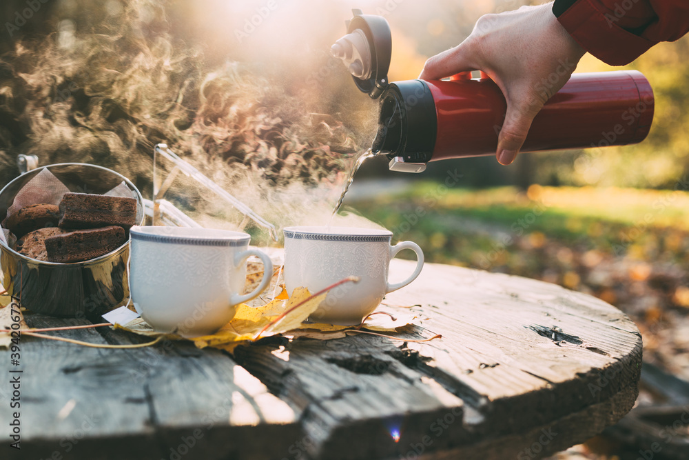 Wall mural early morning picnic in forest in late autumn. cookies and hot tea woman pouring from thermos bottle