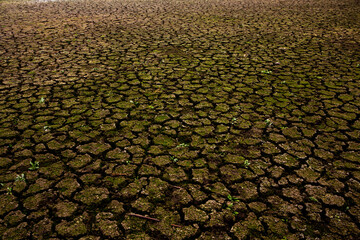 Landscape dried and cracked background. The soil dry. Drouth concept. No water.