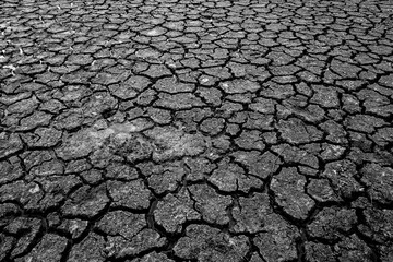 Landscape dried and cracked background. The soil dry. Drouth concept. No water.