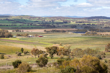 Fototapeta na wymiar Landscape of Clare valley: vineyards, wineries and forests. Wine industry and hills at Clare valley, South Australia