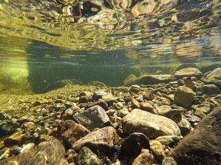 Underwater photo
