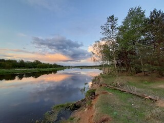 Fototapeta premium Narew river in the Podlaskie Voivodeship, Poland.