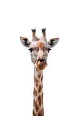 Rolgordijnen Giraf portret © Dan Lynes