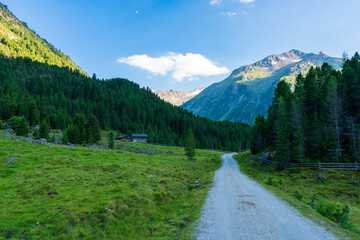 Gorgeous nature of the krimml Valley in summer. It is a valley of the austrian Alps, of Dreiherrnspitze on glacier obersulzbachkees, Hohe Tauern Austrian Alps, Europe