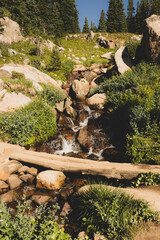 Fallen Log Makes Bridge in front of Waterfall