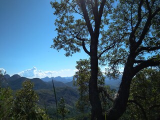 Obraz premium national park