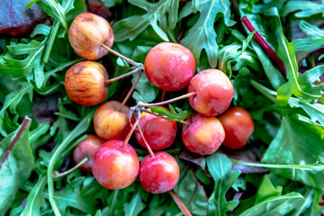 Wildkräutersalat mit rötlichen Zieräpfeln