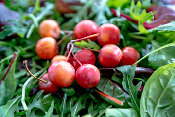 Wildkräutersalat mit rötlichen Zieräpfeln