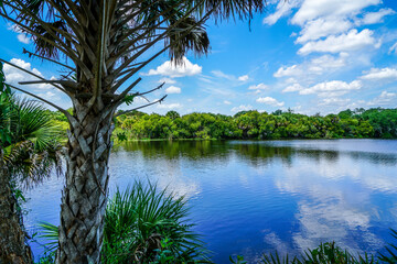 Obraz premium The Myakka River showing off its beautiful calm waters on this sunny summer day.