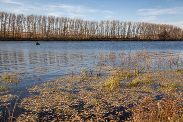 Birch grove on the banks of the river during the golden autumn. Fallen leaves in the water.
