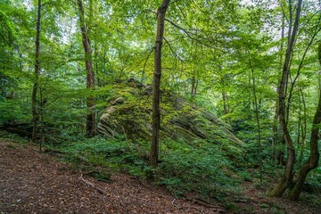 Some of what you will see at Thompson Ledges Park in northeast Ohio.