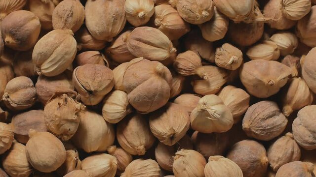 Amomum testaceum dried Herb's background rotation.