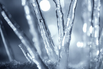 close up illuminated winter icicles in snow