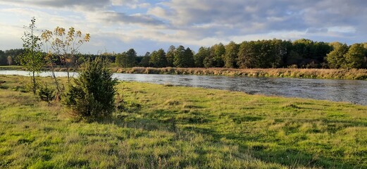 Fototapeta premium Spring in Polnad, Narew river.