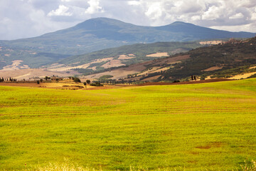 Fototapeta premium Val d'Orcia