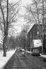 Quiet city street after heavy snowfall. Wet asphalt and trees in the snow.