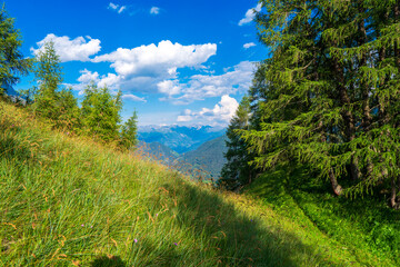 Mountain valley village landscape in Venediger alps . Mountain green valley village view austria near matrei in osttirol