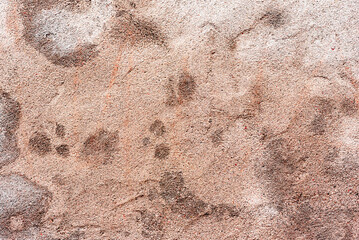 Texture of a concrete wall with cracks and scratches which can be used as a background