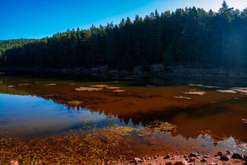 Colorful reflections in the lake. Bozcaarmut lake in Bilecik Turkey in the autumn.