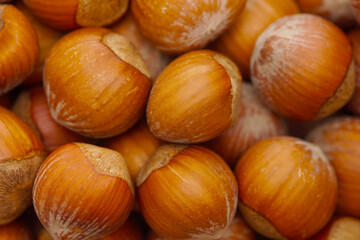 A lot of tasty Hazelnuts
