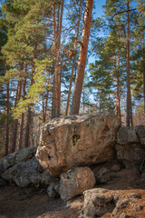 ruins of the old house