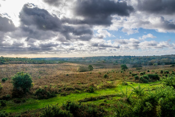 Dramatic sky over the New Forest UK
