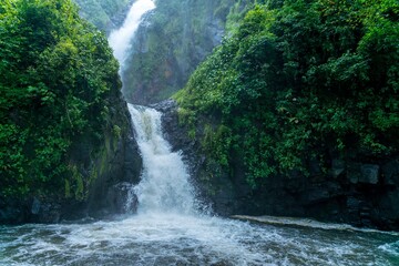 Fototapeta premium River in the mountain forest sunny day