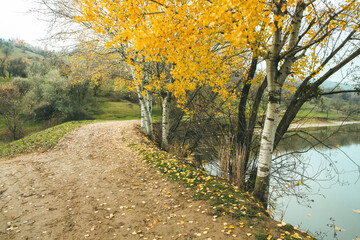 Naklejka premium Beautiful rural landscape in Europe. Sunny nature with meadow and colorful forest. Orange trees on hillsides.
