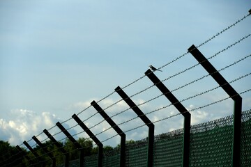 A fence with barbed wire with a bird sitting on it and clear blue sky on the background on the airport Zurich in Switzerland. It can have symbolic meaning as well.  - Powered by Adobe