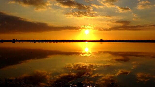 Amazing sunset in marshes of nature reserve Marismas del Odiel in Huelva, Andalusia, Spain
