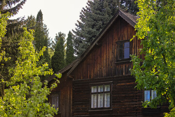 Fototapeta premium An ancient wooden house made of log cabins in traditional Ukrainian style in the forest. The windows and the roof close up. Travel in Kyiv, Ukraine.