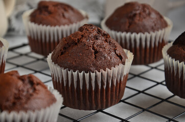 Chocolate muffins on a black metal grill on a gray background.