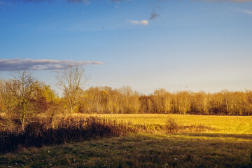 Autumn in Hungary / Rajka