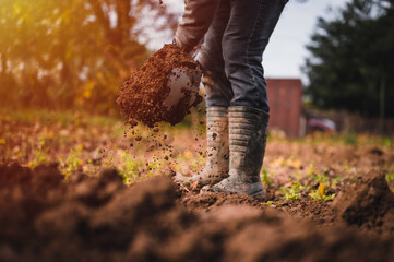 Worker digs soil with shovel in colorfull garden, workers loosen black dirt at farm, agriculture concept autumn detail. Man boot or shoe on spade prepare for digging.