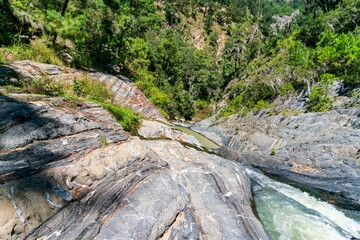 River in the mountain forest sunny day