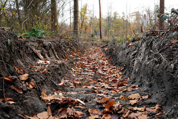 Furche von tiefer Reifenspur von Forstmaschine im Waldboden von abgeholztem Wald nach der Holzernte im Herbst - Stockfoto