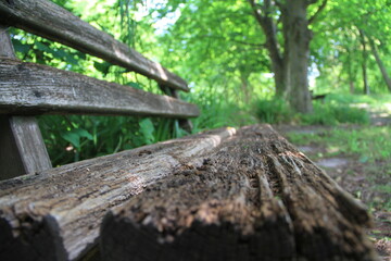 Fototapeta premium Bank im Park