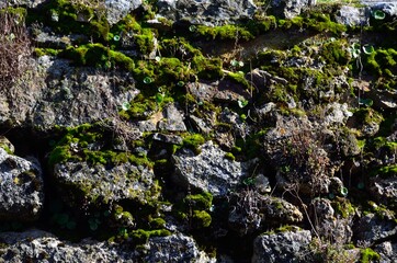 Piedras junto al Convento de Nossa Senhora da Estrela, Marvao, Alentejo
