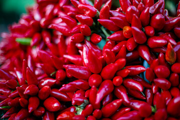 Chili im Bund