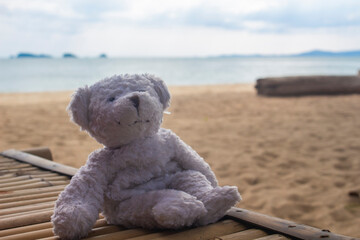 Little bear sitting on bamboo table on the beach, at sea on holiday summer.