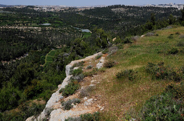 green hill over jerusalem