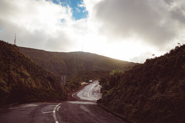 mystic tropical forest in Azores islands